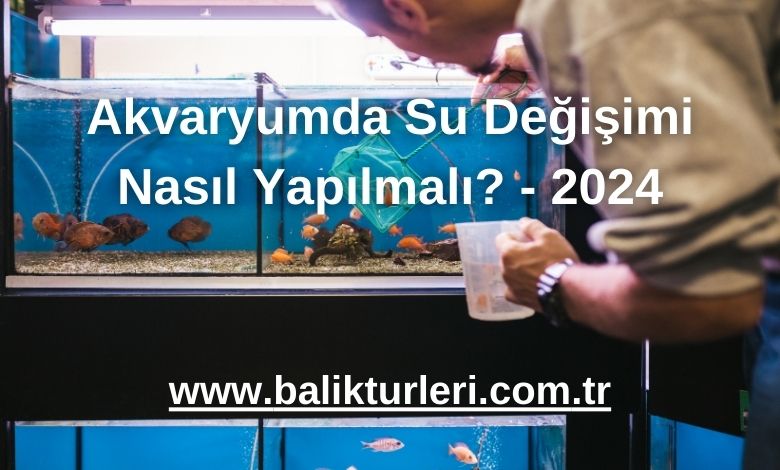 Akvaryumda Su Değişimi Nasıl Yapılmalı? - 2024