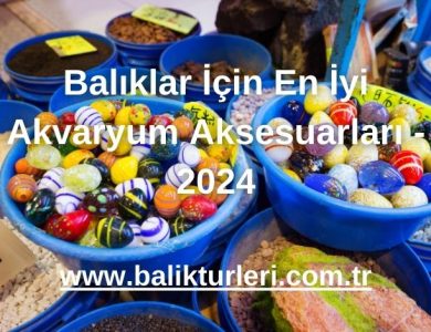 Balıklar İçin En İyi Akvaryum Aksesuarları - 2024