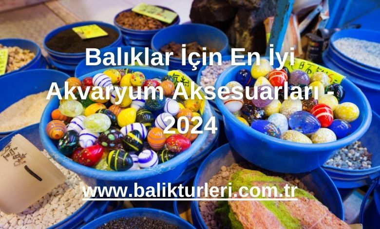 Balıklar İçin En İyi Akvaryum Aksesuarları - 2024