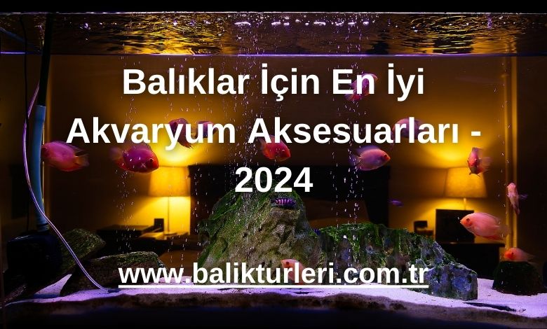 Balıklar İçin En İyi Akvaryum Aksesuarları - 2024