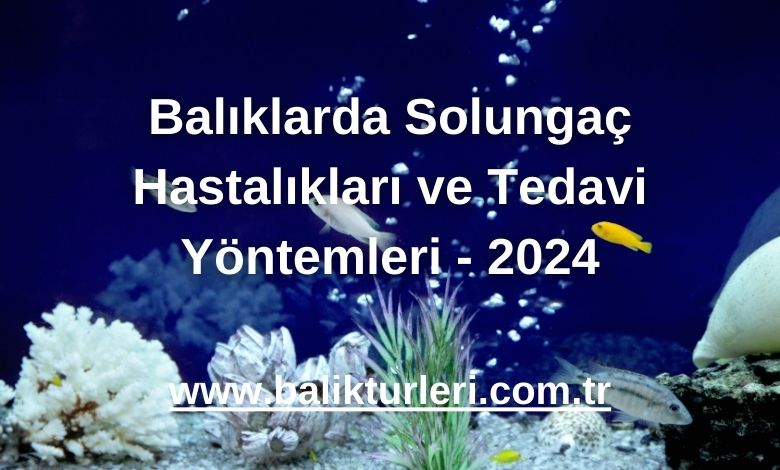 Balıklarda Solungaç Hastalıkları ve Tedavi Yöntemleri - 2024