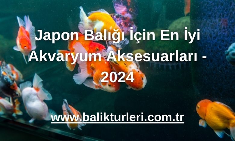 Japon Balığı İçin En İyi Akvaryum Aksesuarları - 2024