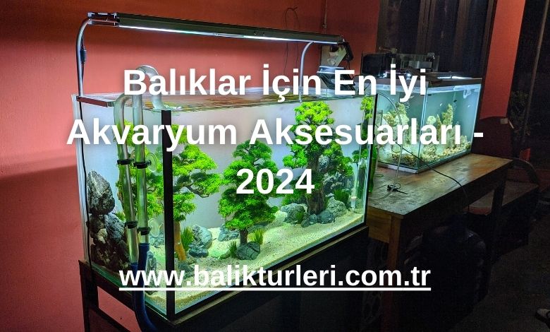 Balıklar İçin En İyi Akvaryum Aksesuarları - 2024