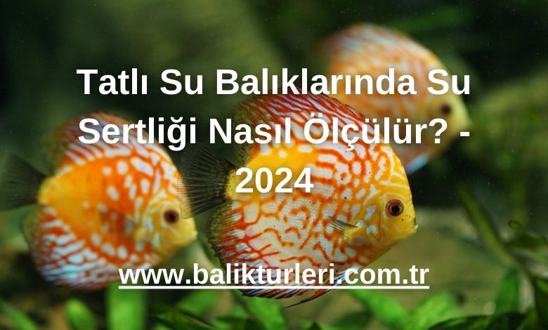 Tatlı Su Balıklarında Su Sertliği Nasıl Ölçülür? - 2024