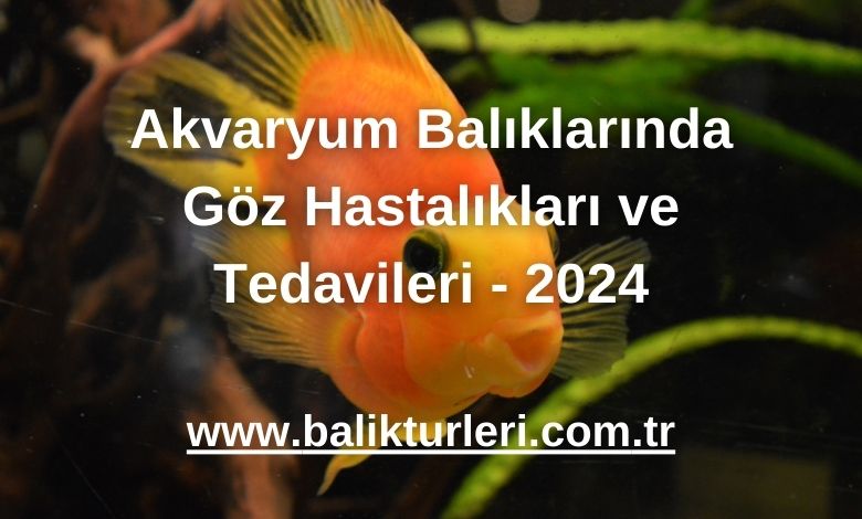 Akvaryum Balıklarında Göz Hastalıkları ve Tedavileri - 2024
