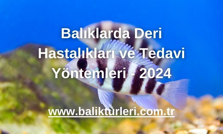 Balıklarda Deri Hastalıkları ve Tedavi Yöntemleri - 2024