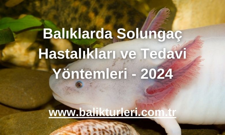 Balıklarda Solungaç Hastalıkları ve Tedavi Yöntemleri - 2024