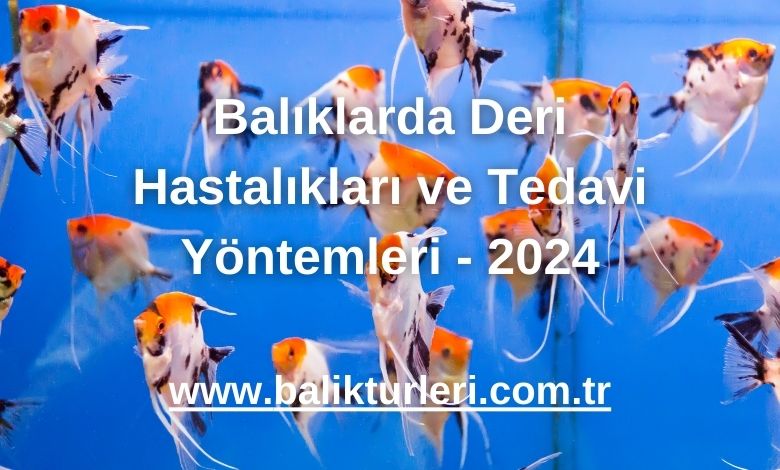 Balıklarda Deri Hastalıkları ve Tedavi Yöntemleri - 2024
