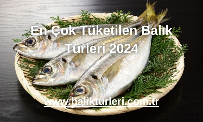 En Çok Tüketilen Balık Türleri 2024