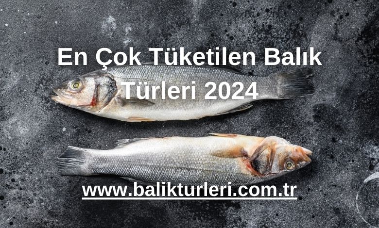 En Çok Tüketilen Balık Türleri 2024