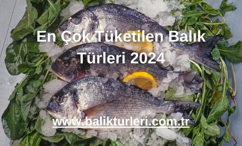 En Çok Tüketilen Balık Türleri 2024